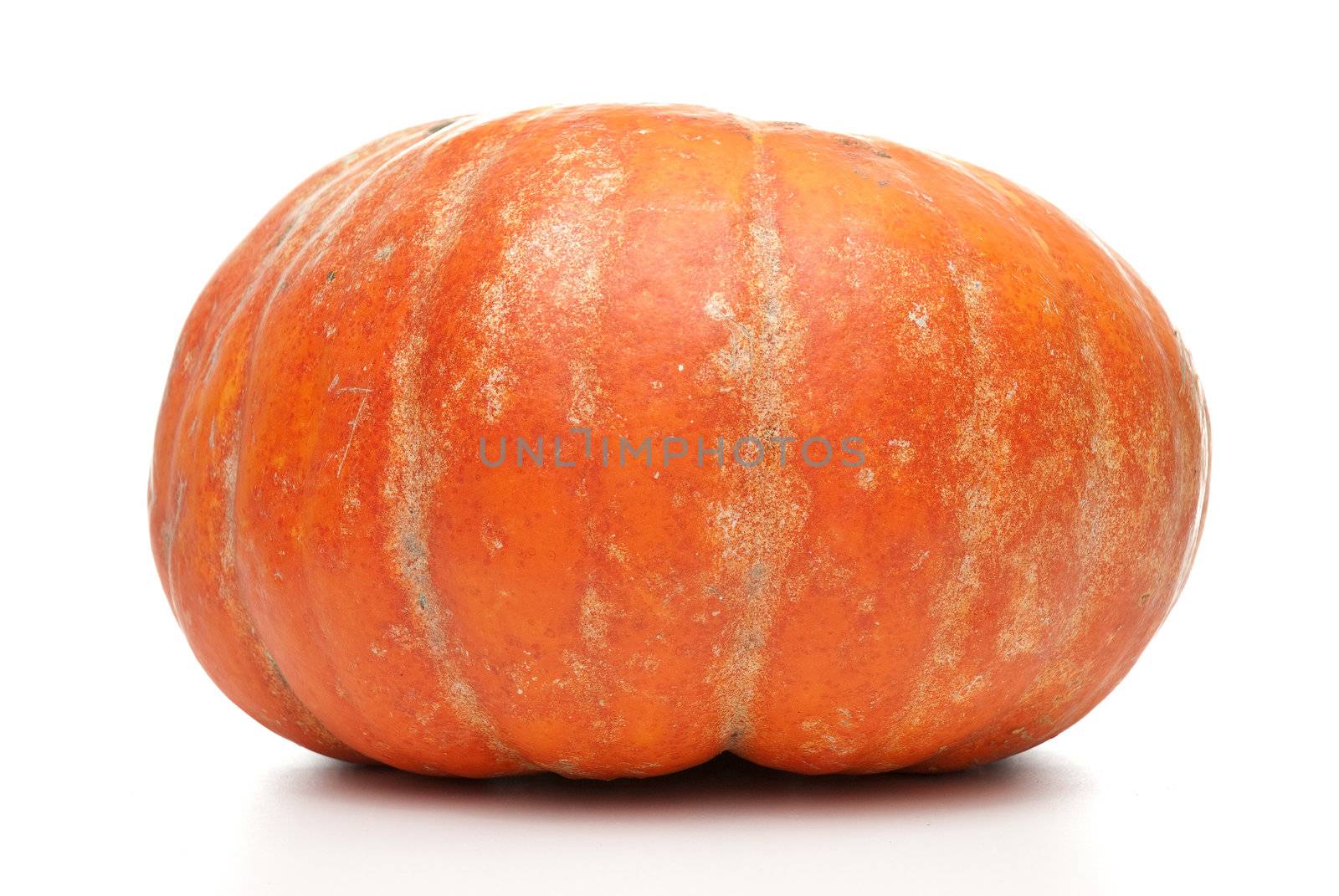 Orange pumpkin isolated on white backgroud.