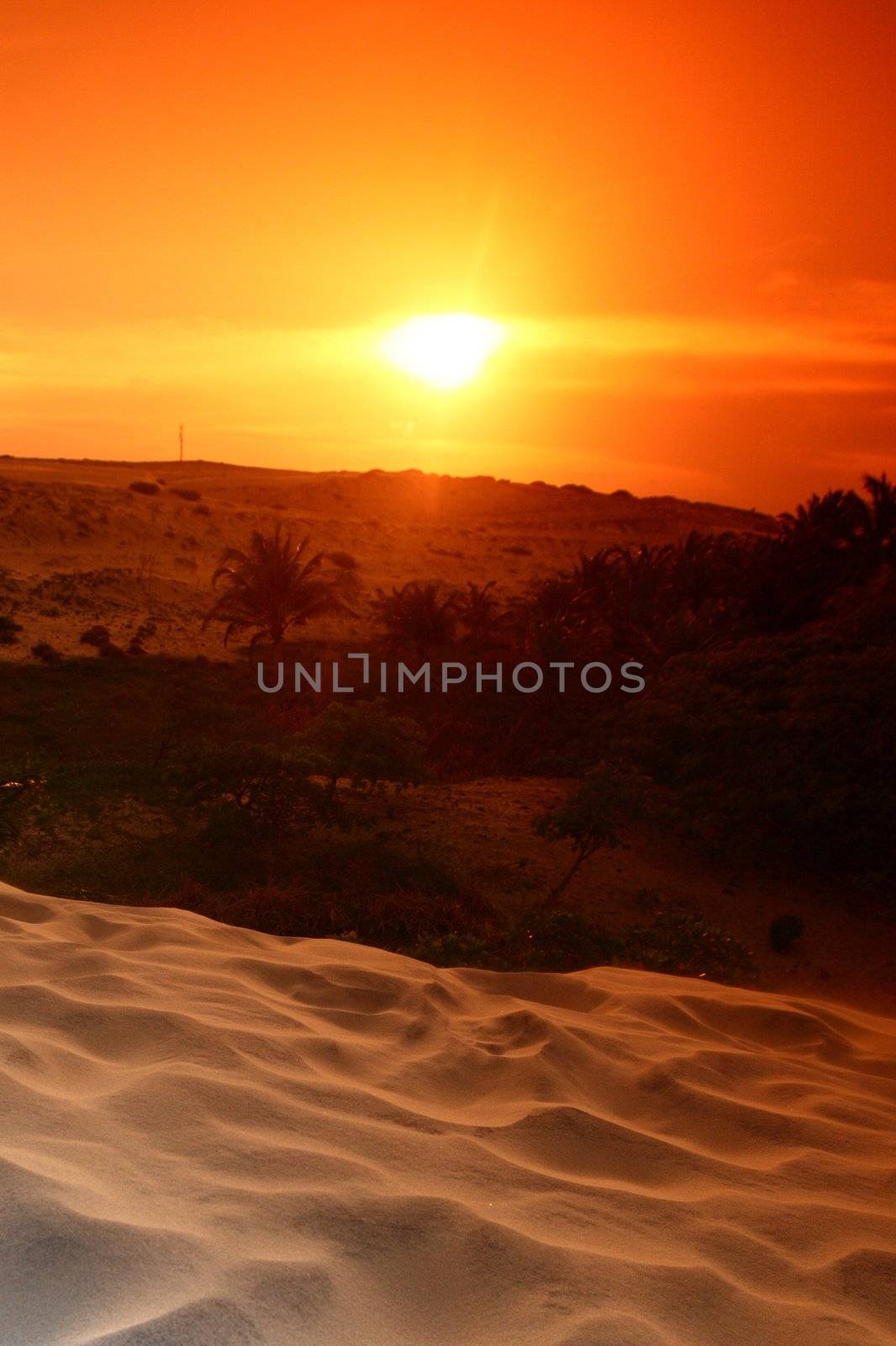 desert sand under blue sunny sky