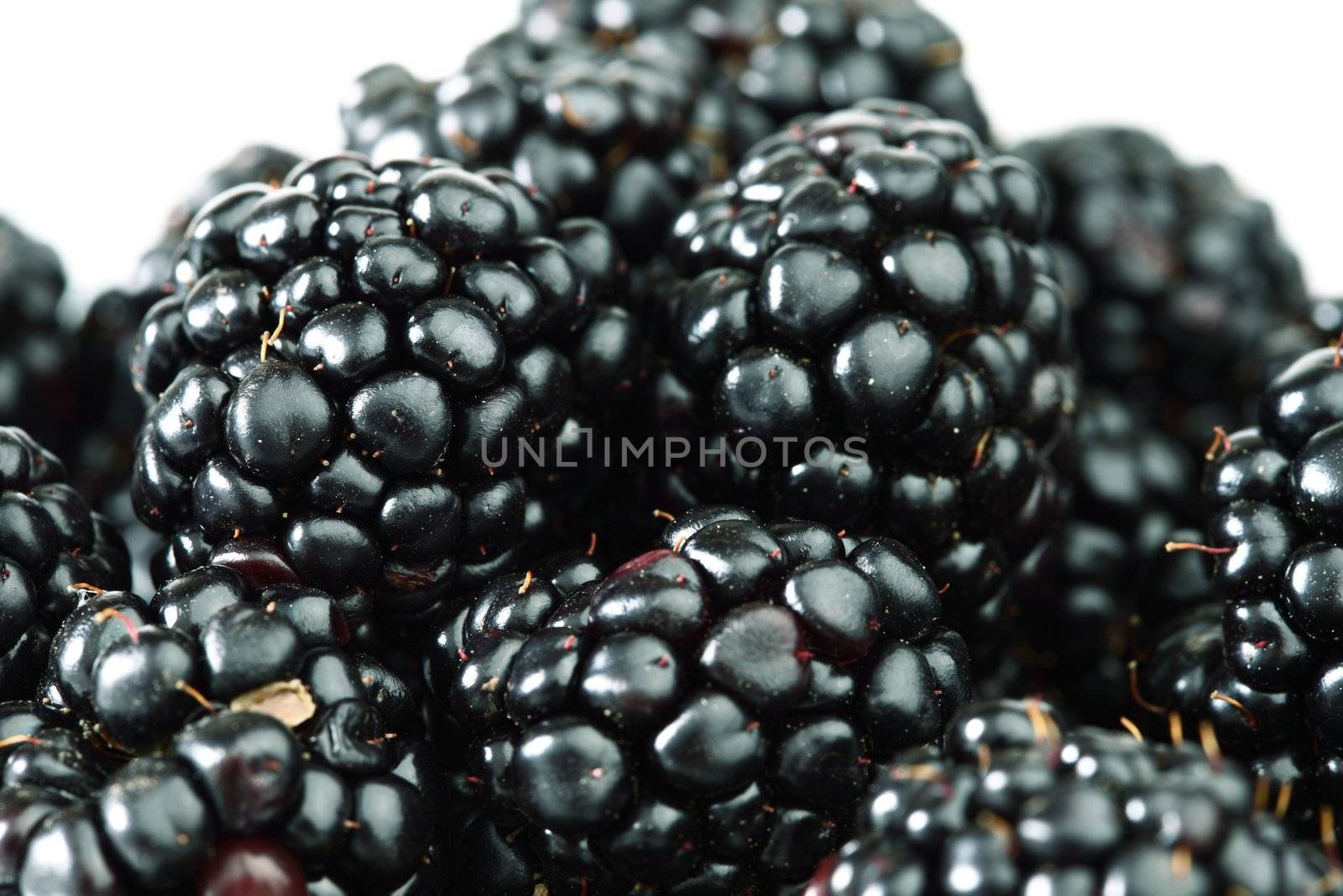 blackberry by Yellowj