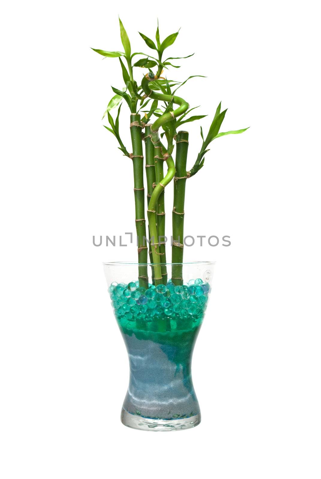 Glass jar with bamboo isolated on white background.