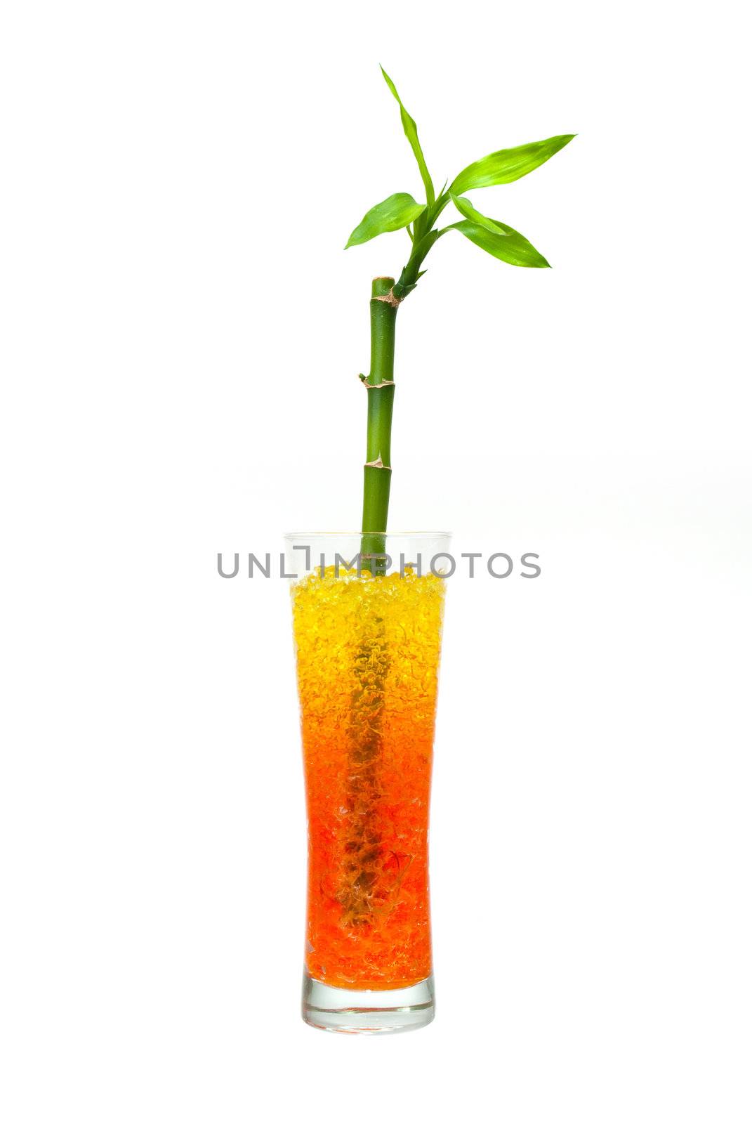 Glass jar with bamboo isolated on white background.