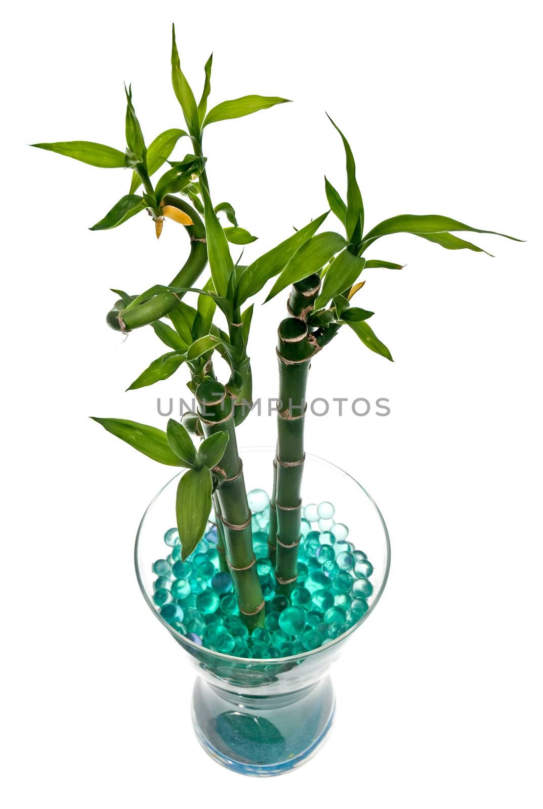 Glass jar with bamboo isolated on white background.