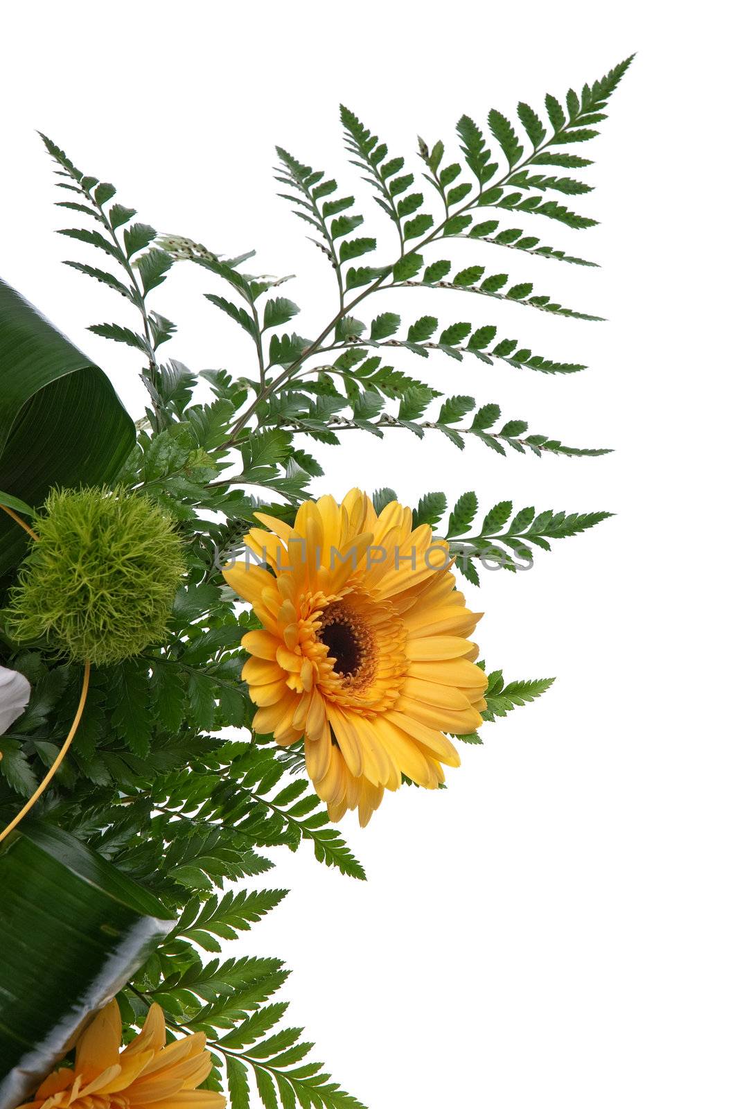 Detail of bouquet of flowers on white background.