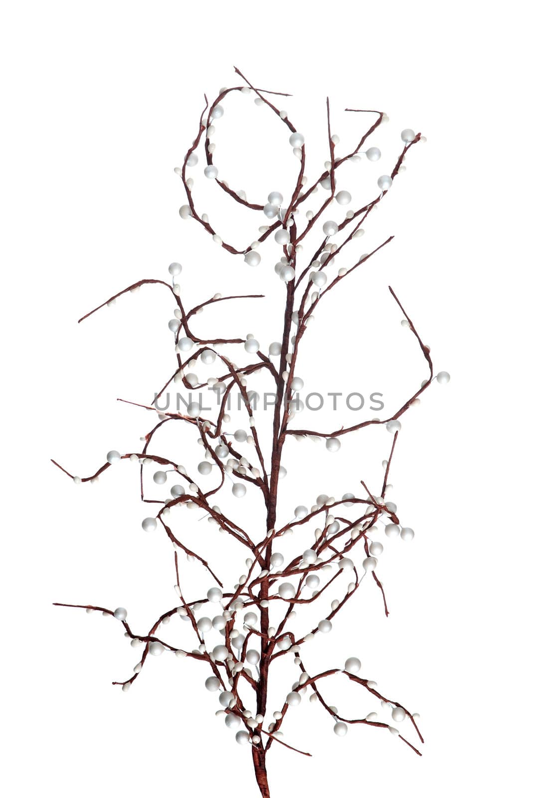 Christmas decoration branch with white balls on white background.