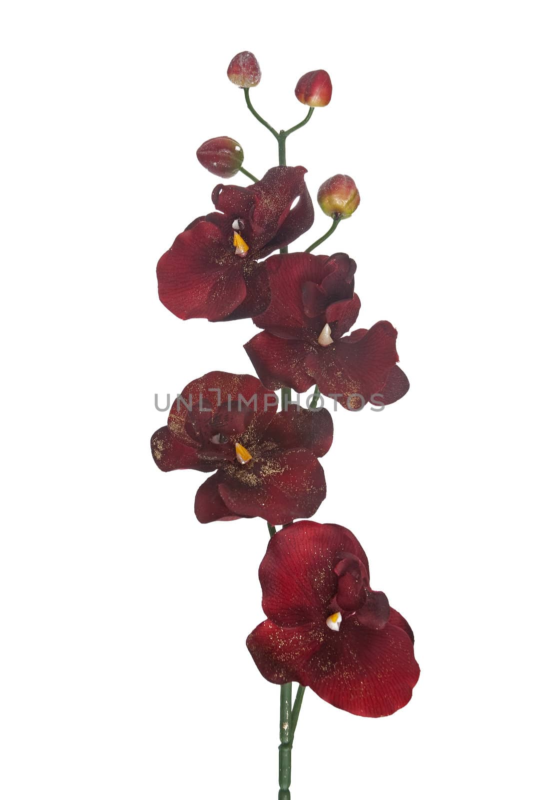 Red Christmas decoration isolated  on white background.