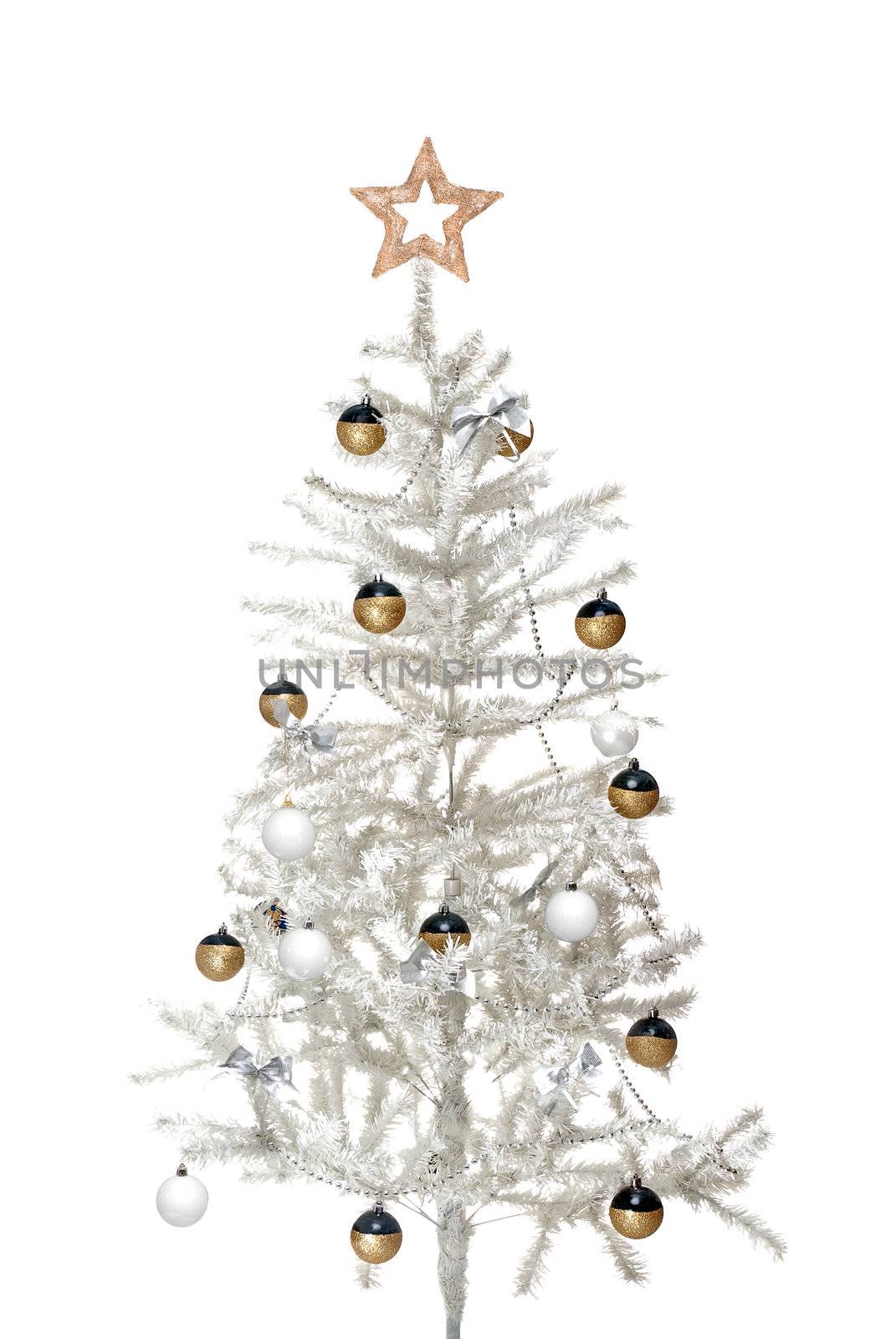 Christmas tree isolated from the white background.