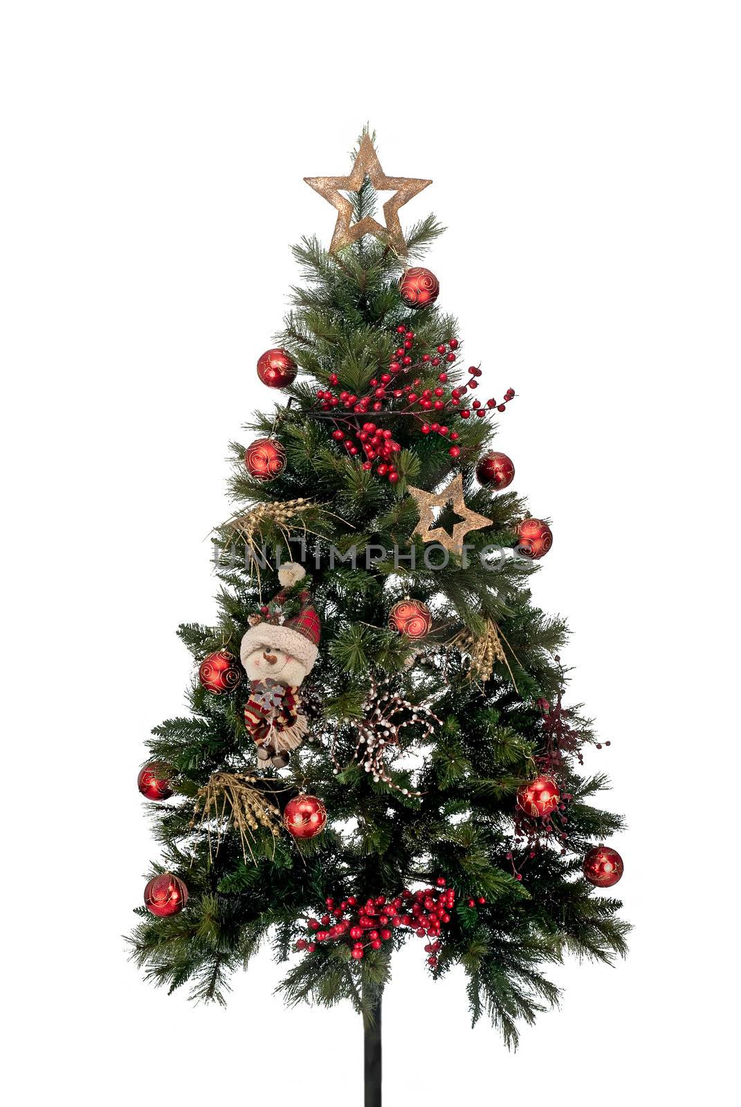 Christmas tree isolated from the white background.