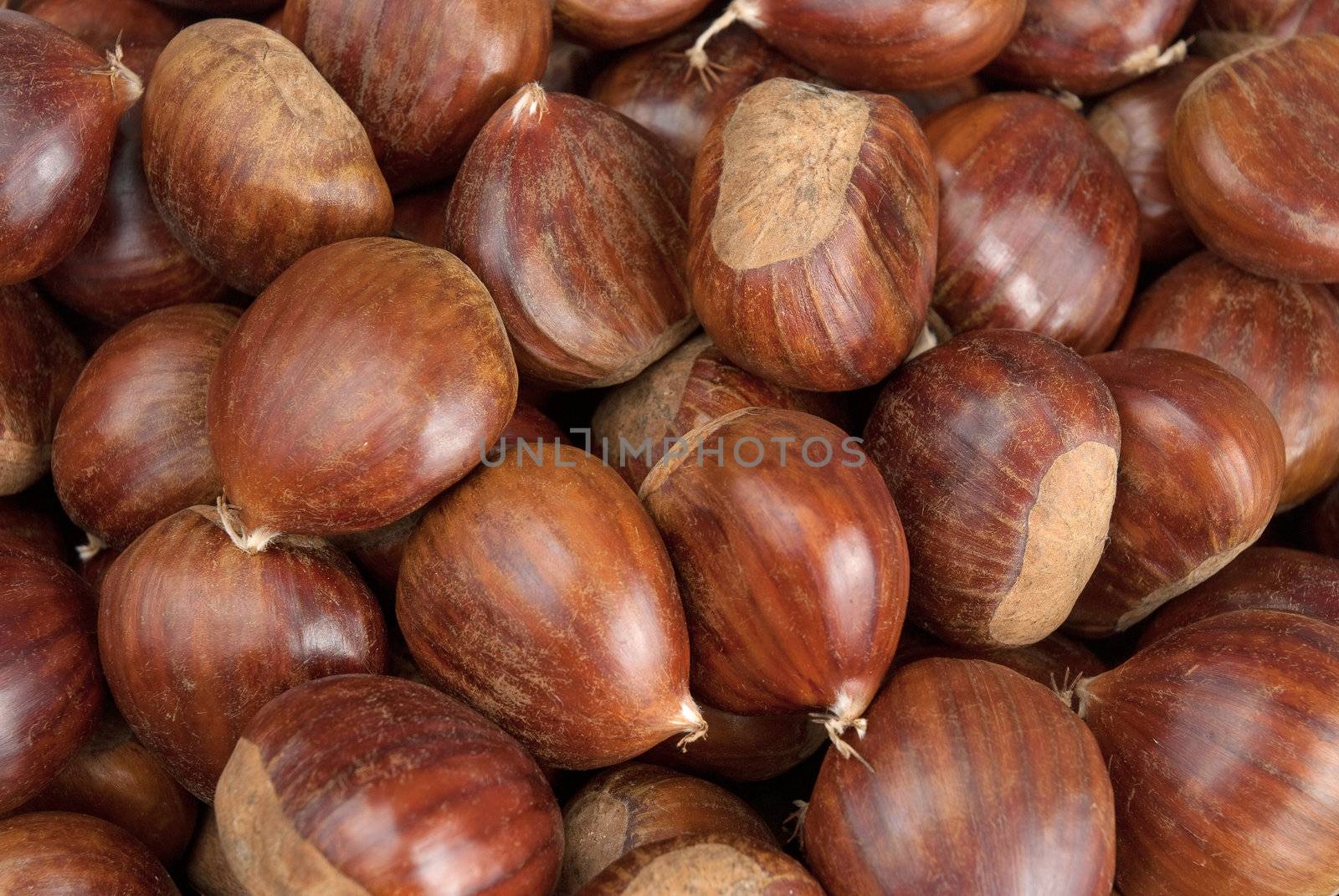 Close up chestnuts background.