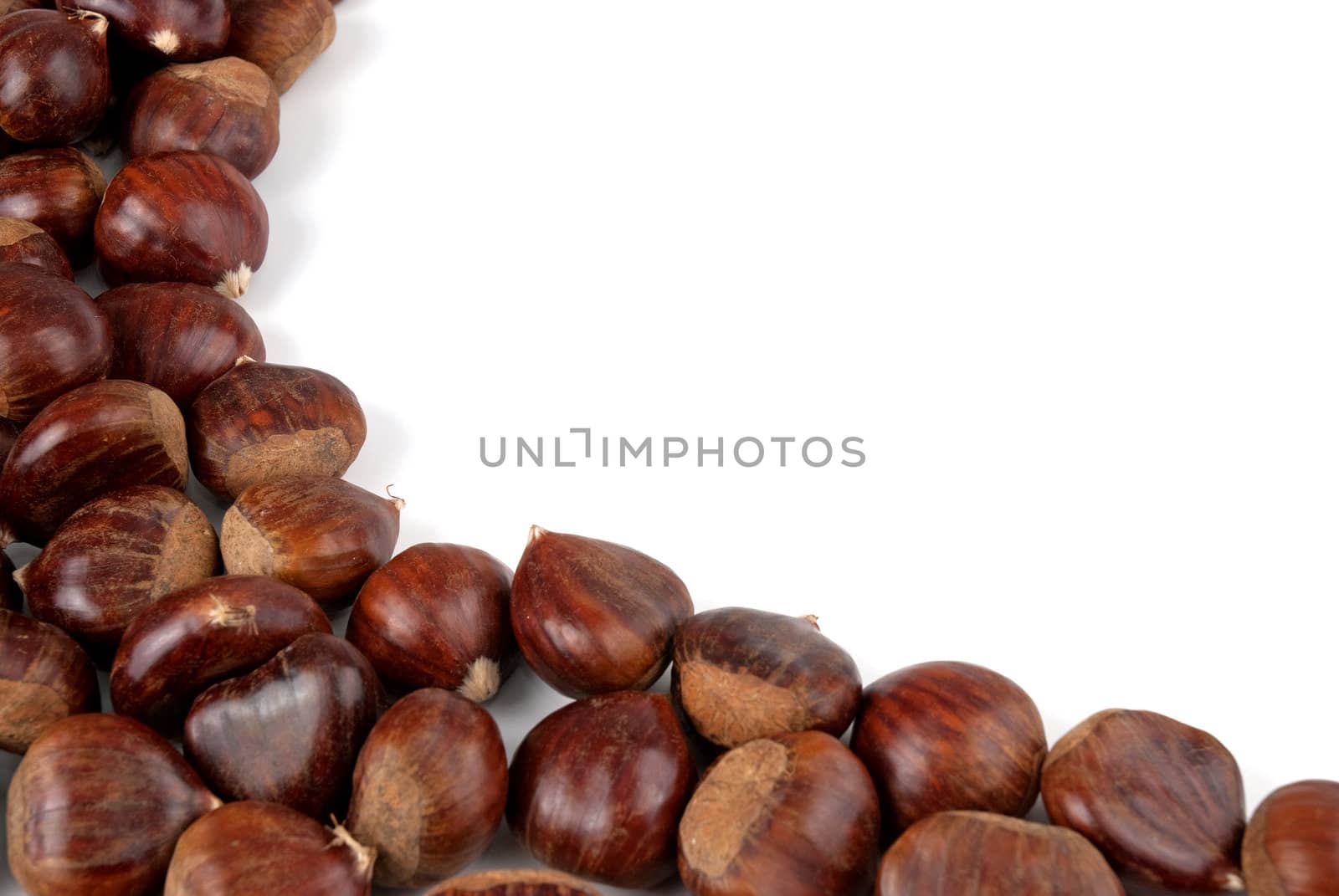 Chestnuts background isolated on white background.