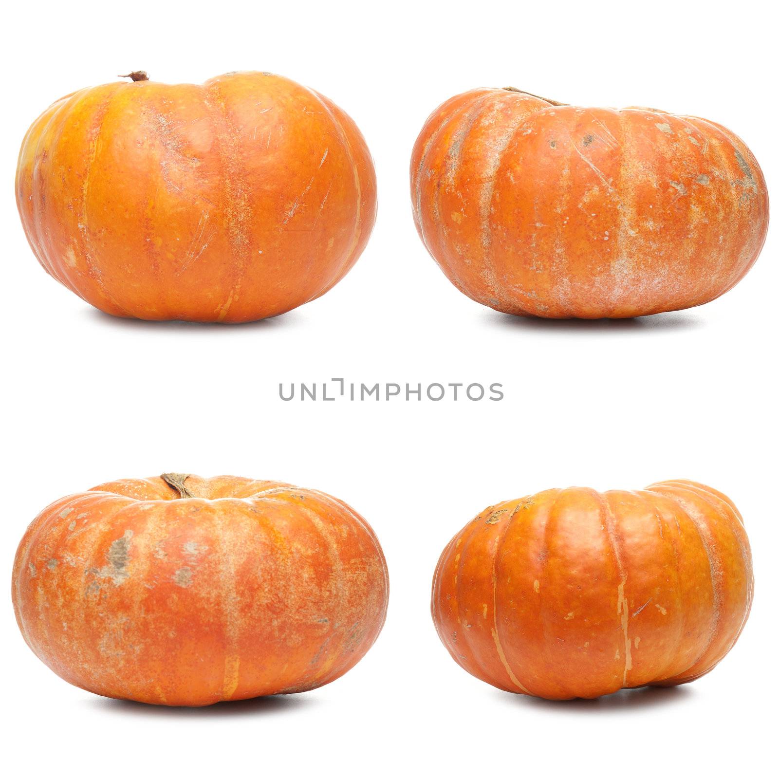 Four fresh pumpkin by homydesign
