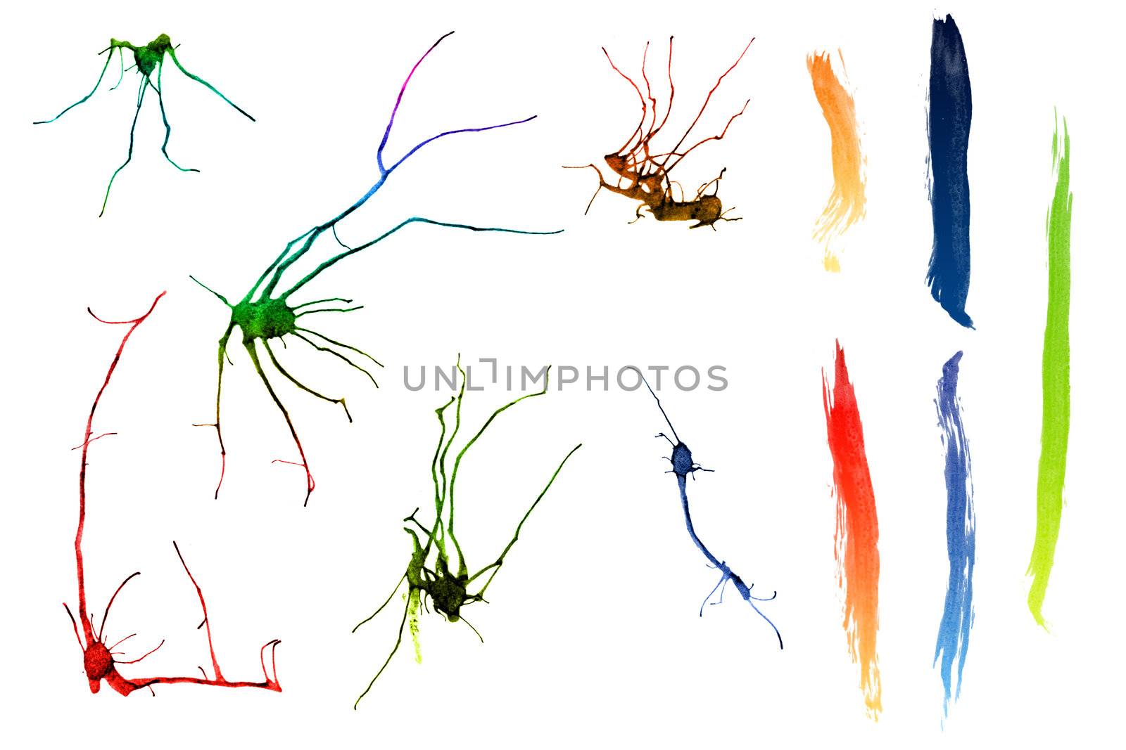 Abstract ink strokes ans splatters isolated on white background.