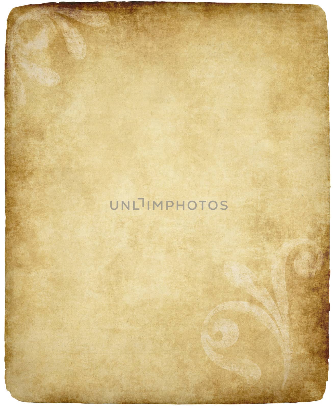 large old paper or parchment background texture with large floral design