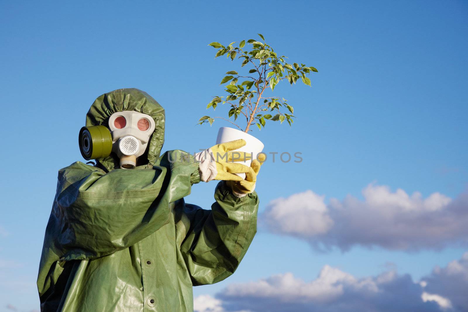 The person in protective clothes holds last ficus on sky background