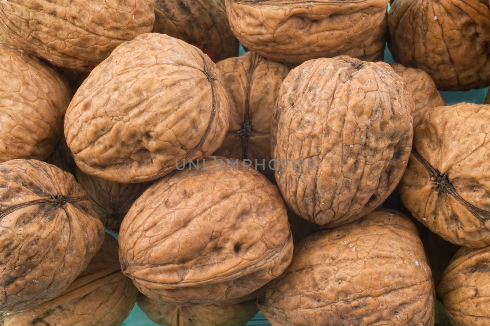 Macro shot of walnuts