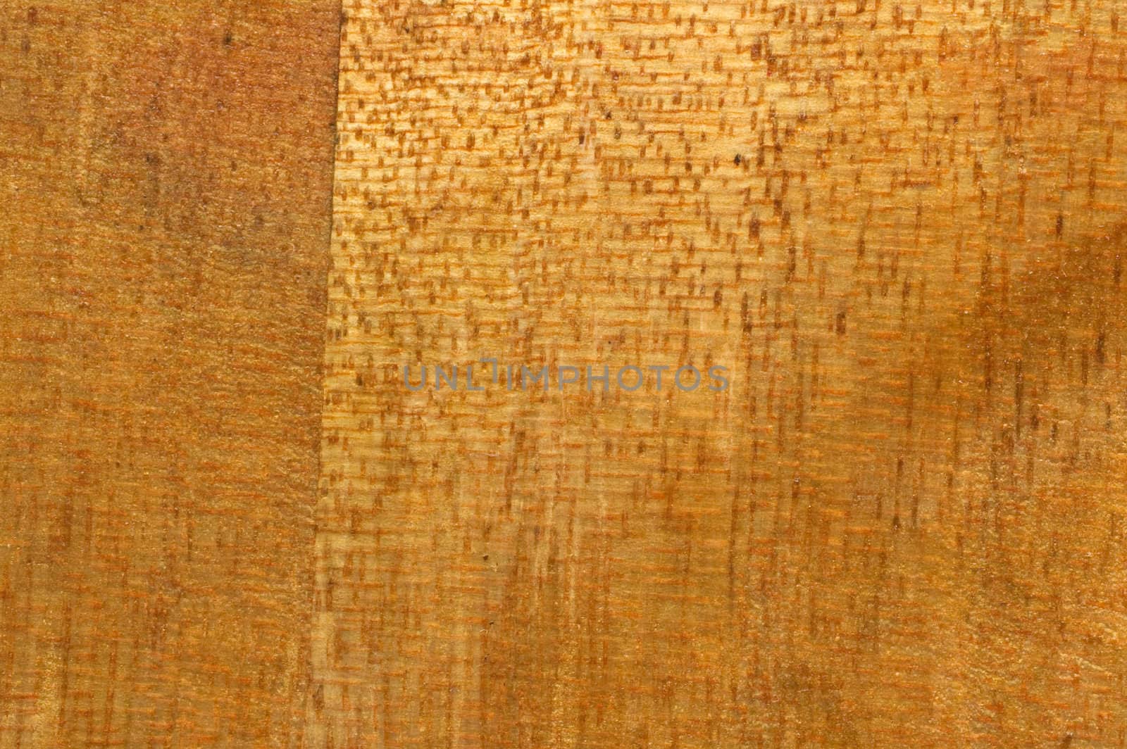 Macro shot of wood background/texture