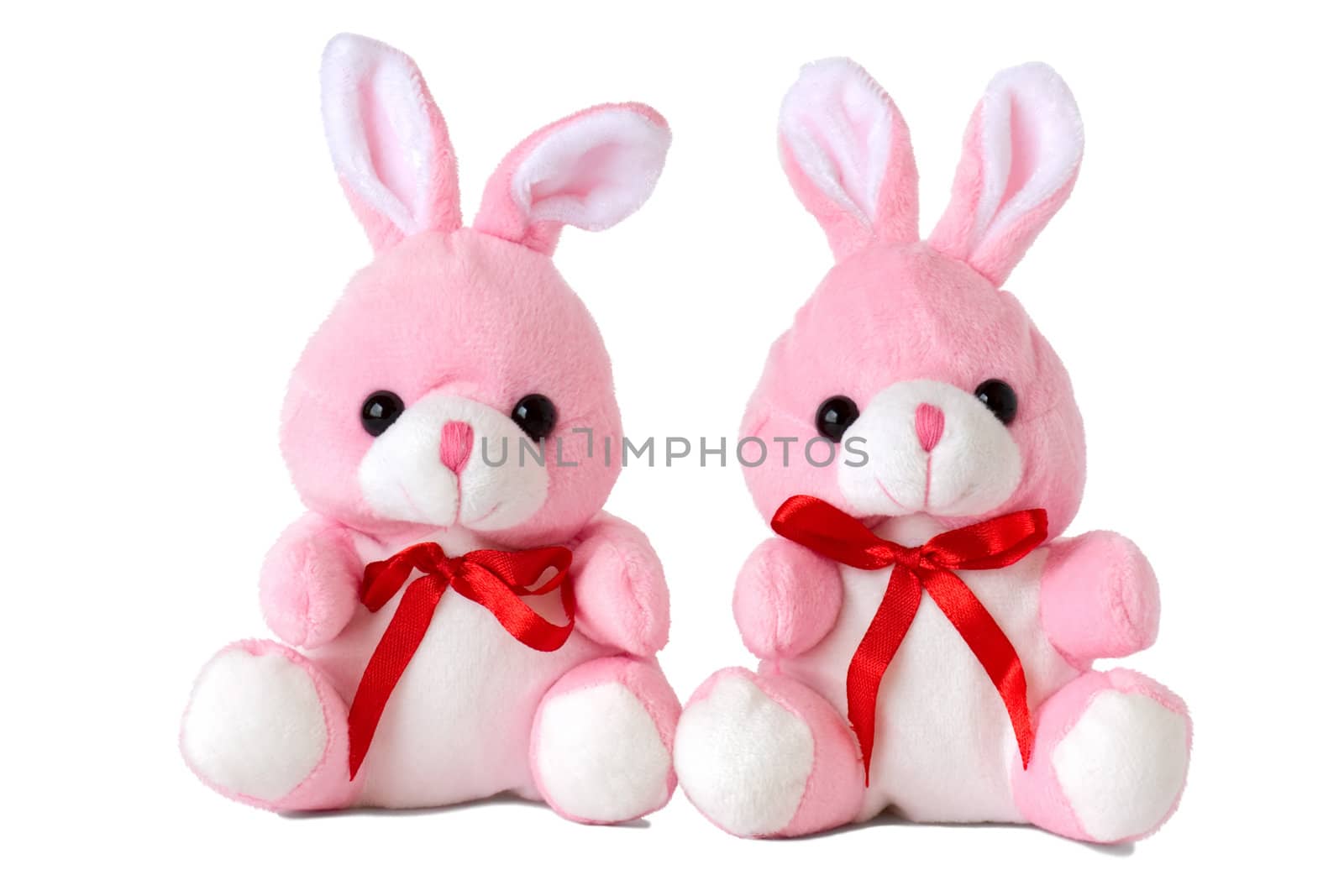 Two pink toy rabbit, isolated on a white background.