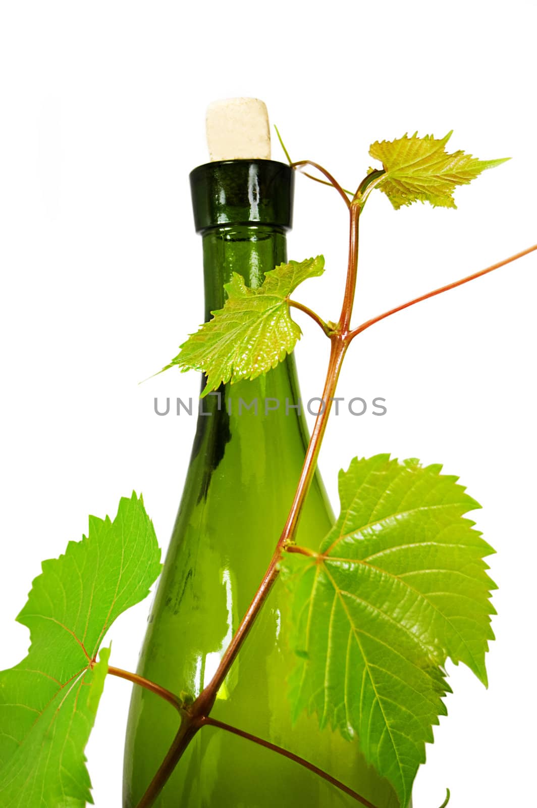 wine bottle with young grape vine branch isolated on white