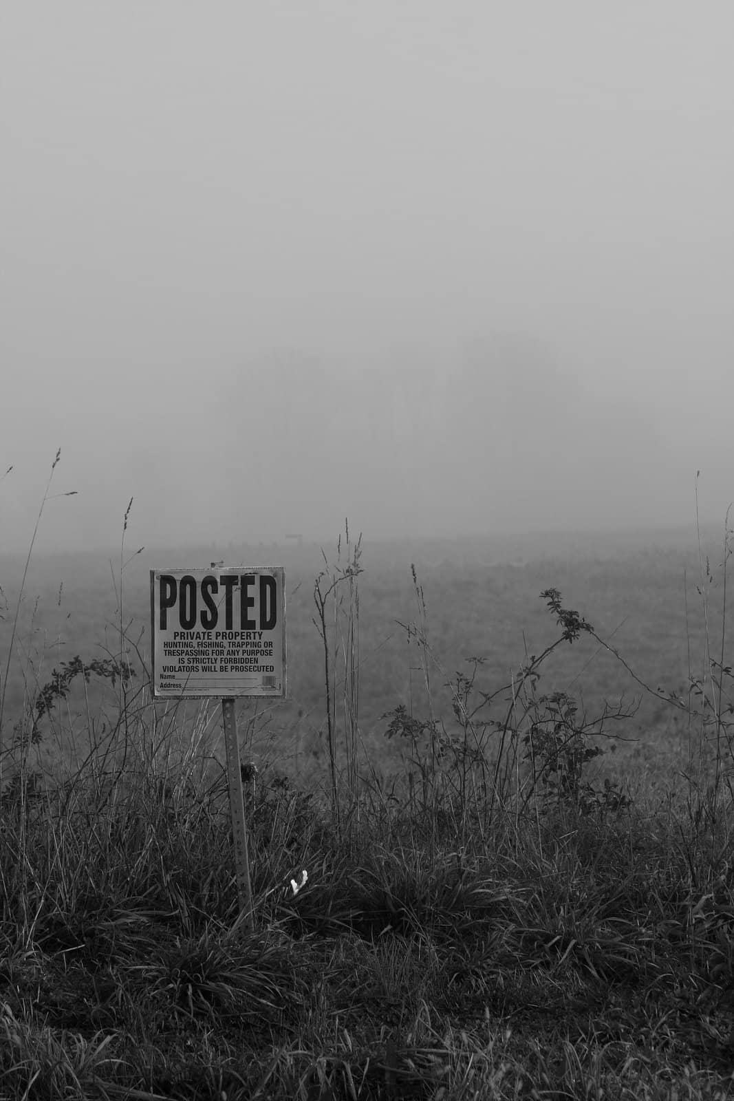 Foggy sign on the edge of a field