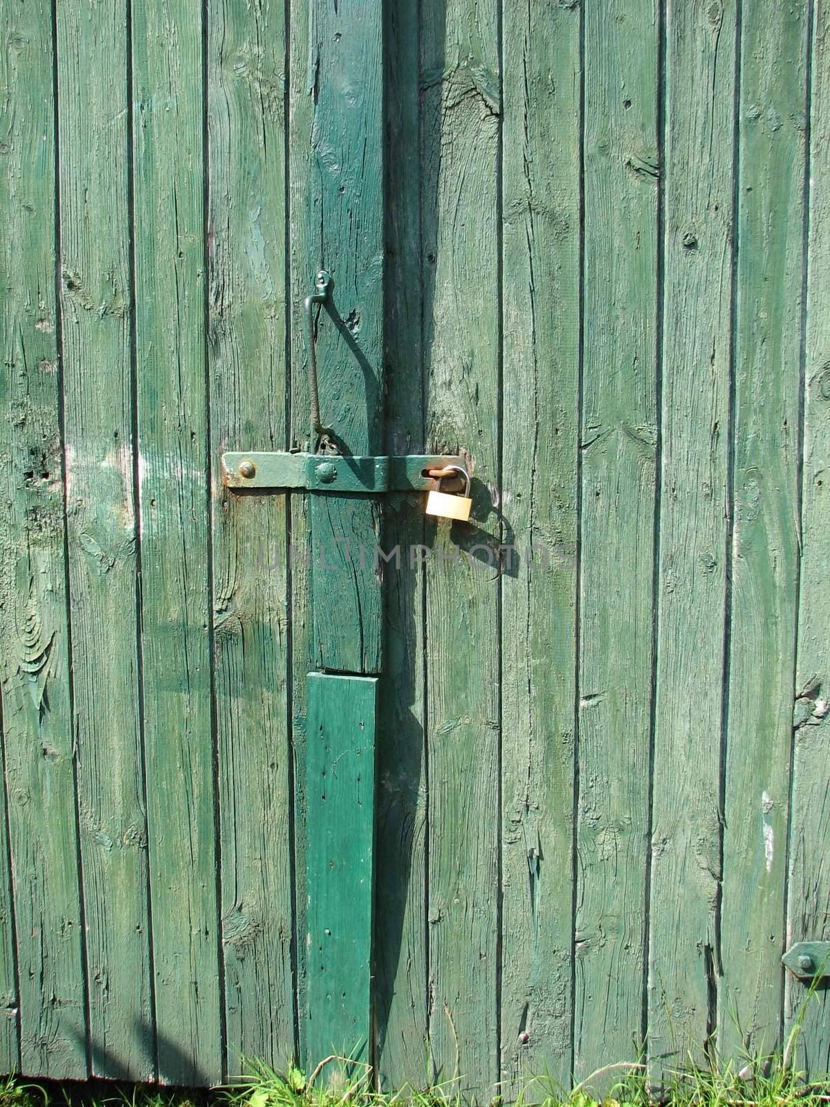 Green barn door, wood background