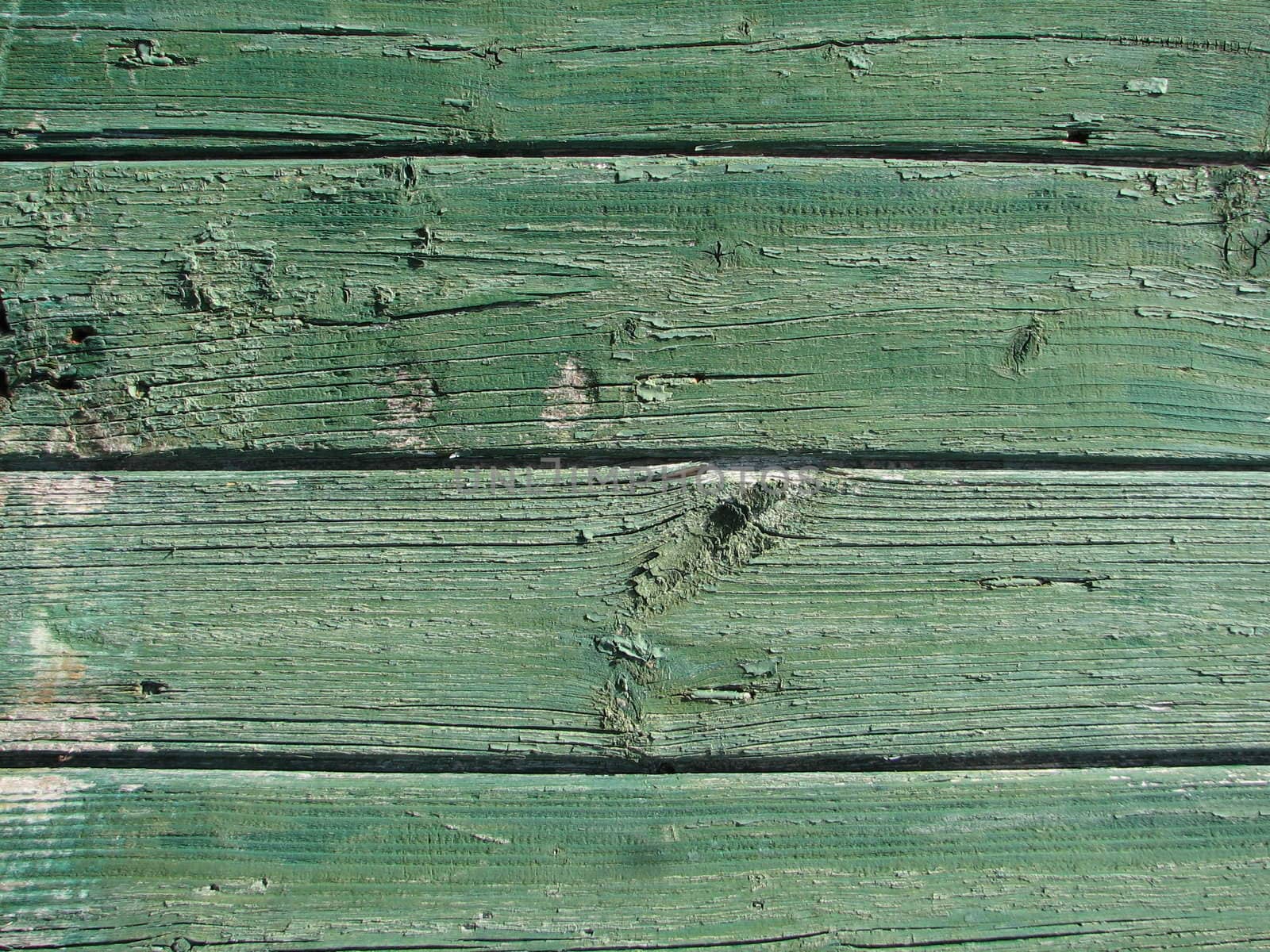 Green Wood Backgrounds