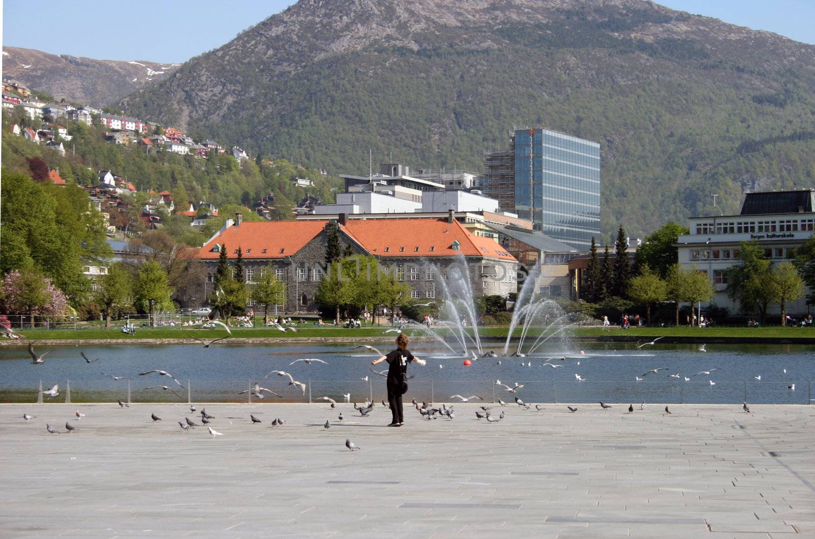 Lille Lundegaardsvannet in Bergen. A small artificial lake in the city centre. Fountain. View of the mountain Ulriken and the city library. 