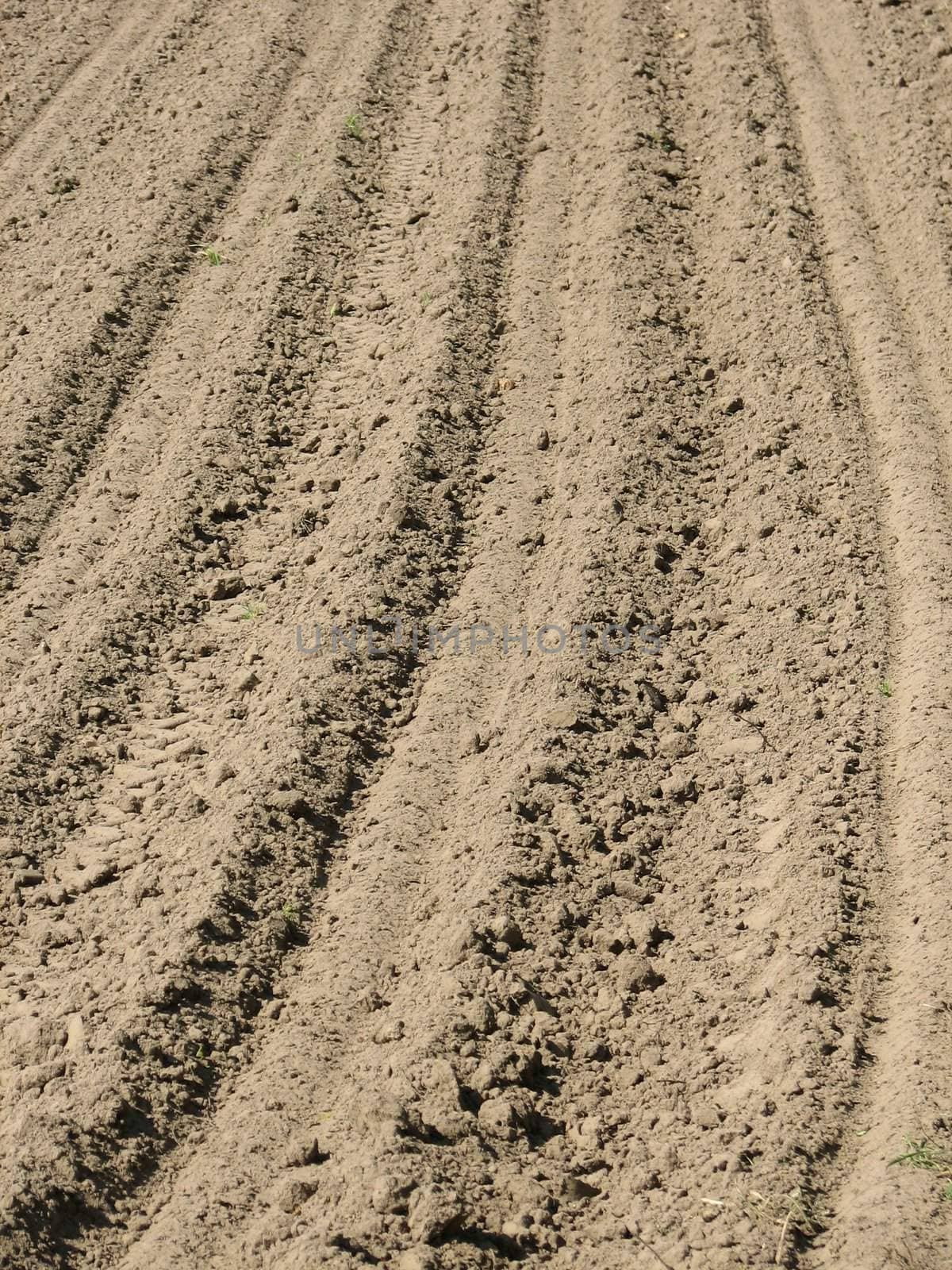 Tilled field, usable as Earth or Sand Background