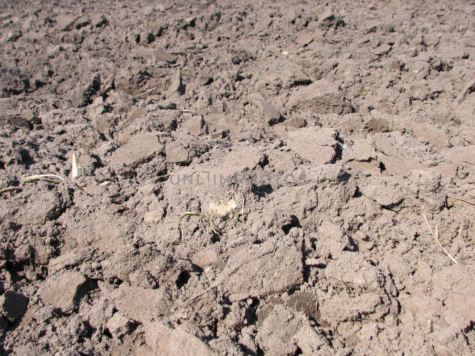 Plowed Field, usable as Earth or Sand Background