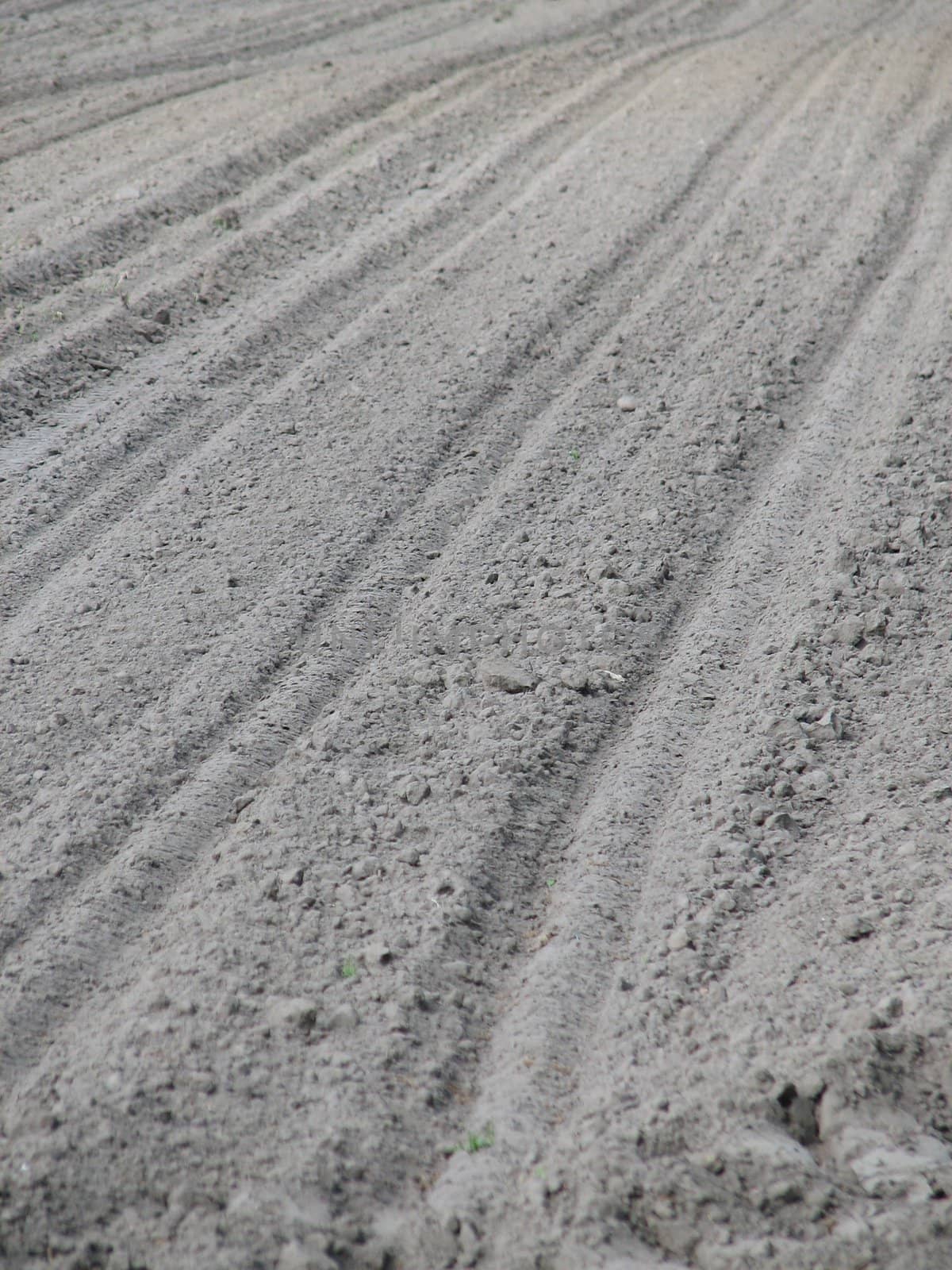 Furrows in a dry field, usable as background