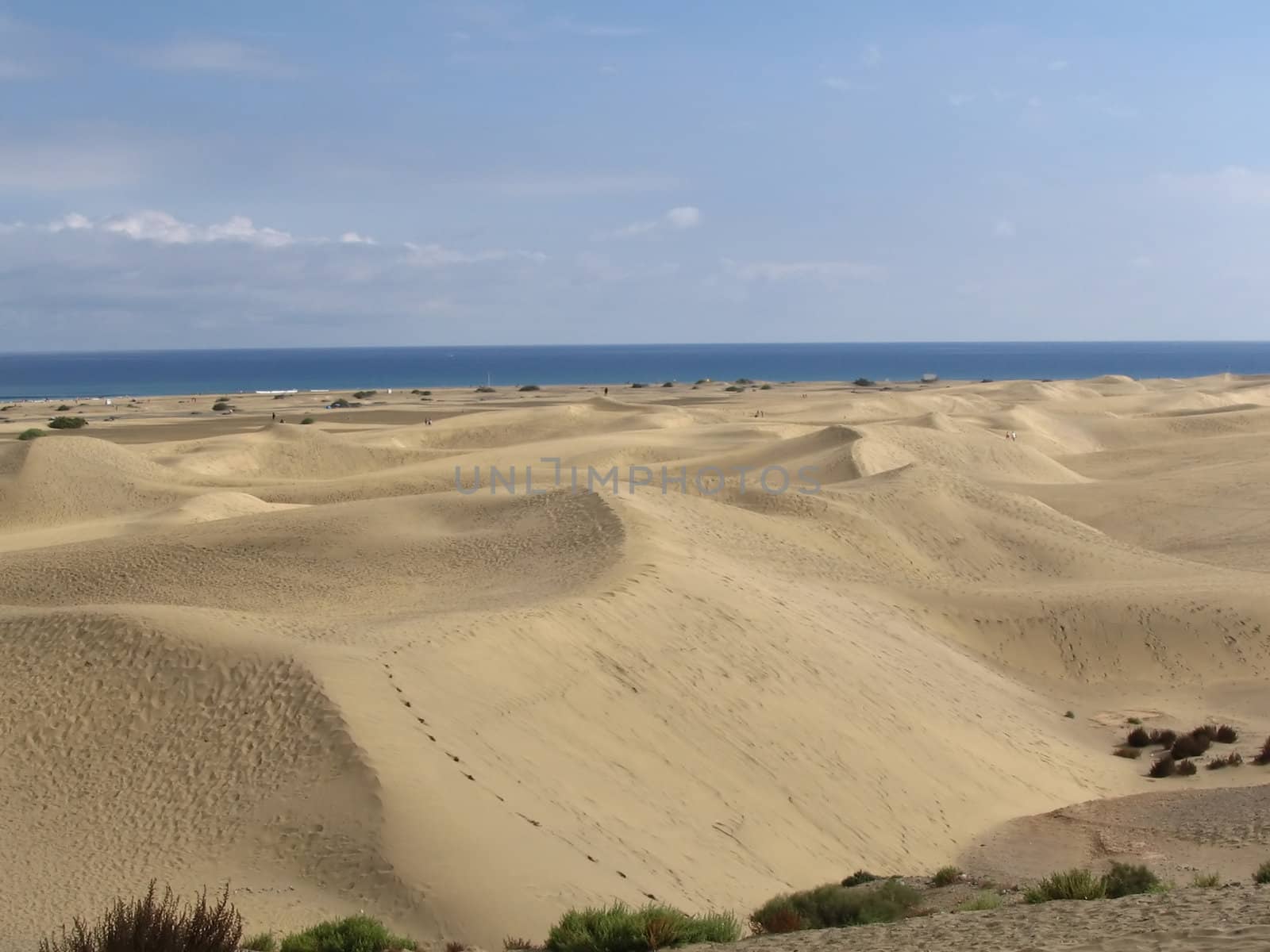 White Sand Dunes o Canary Islands