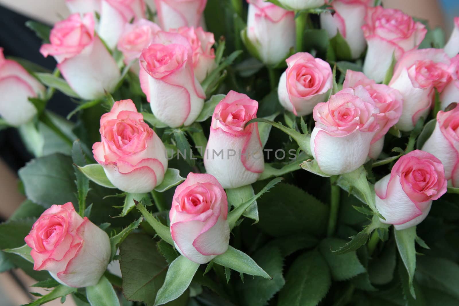 Bouquet of small roses