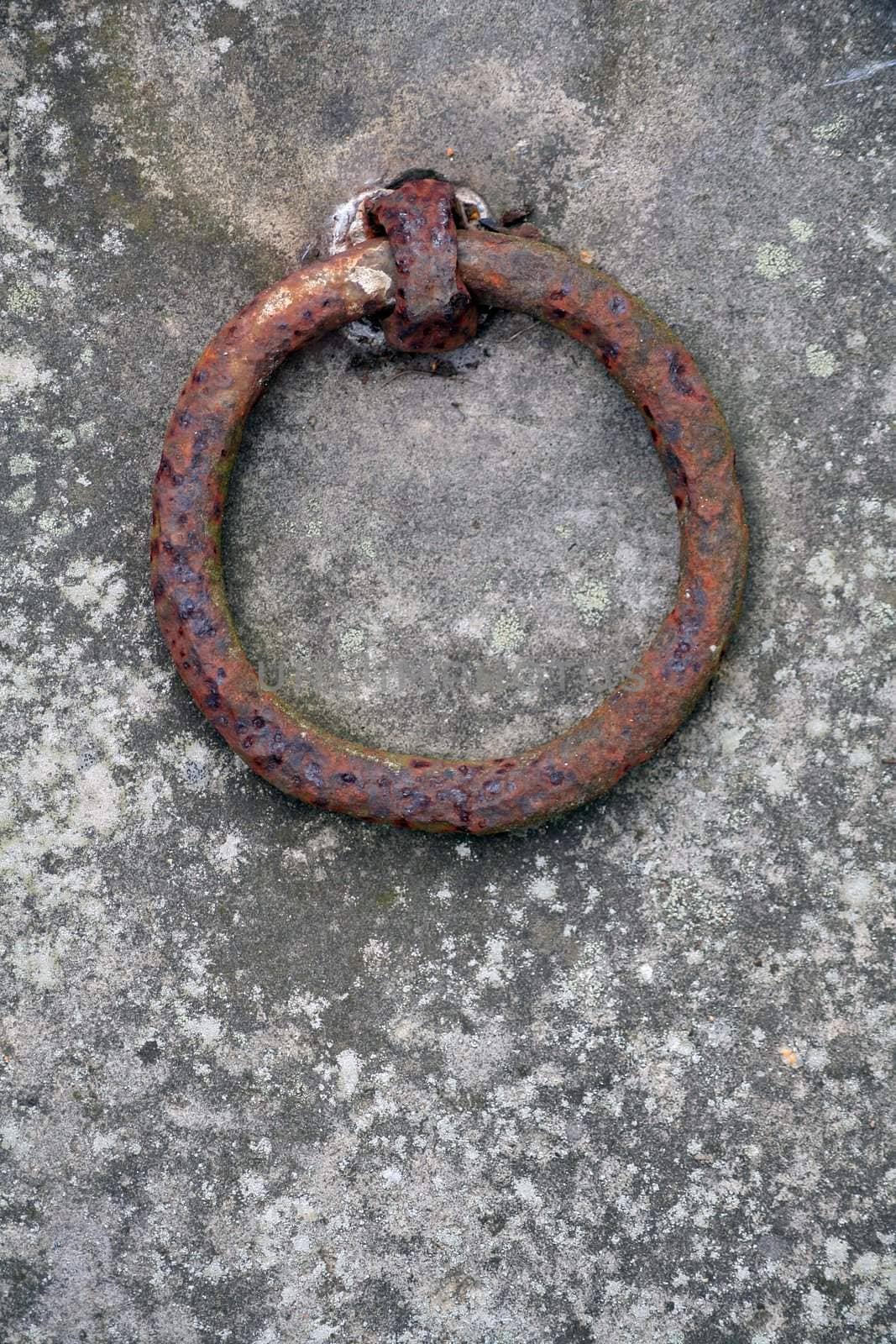 Ring on old grave by hanhepi