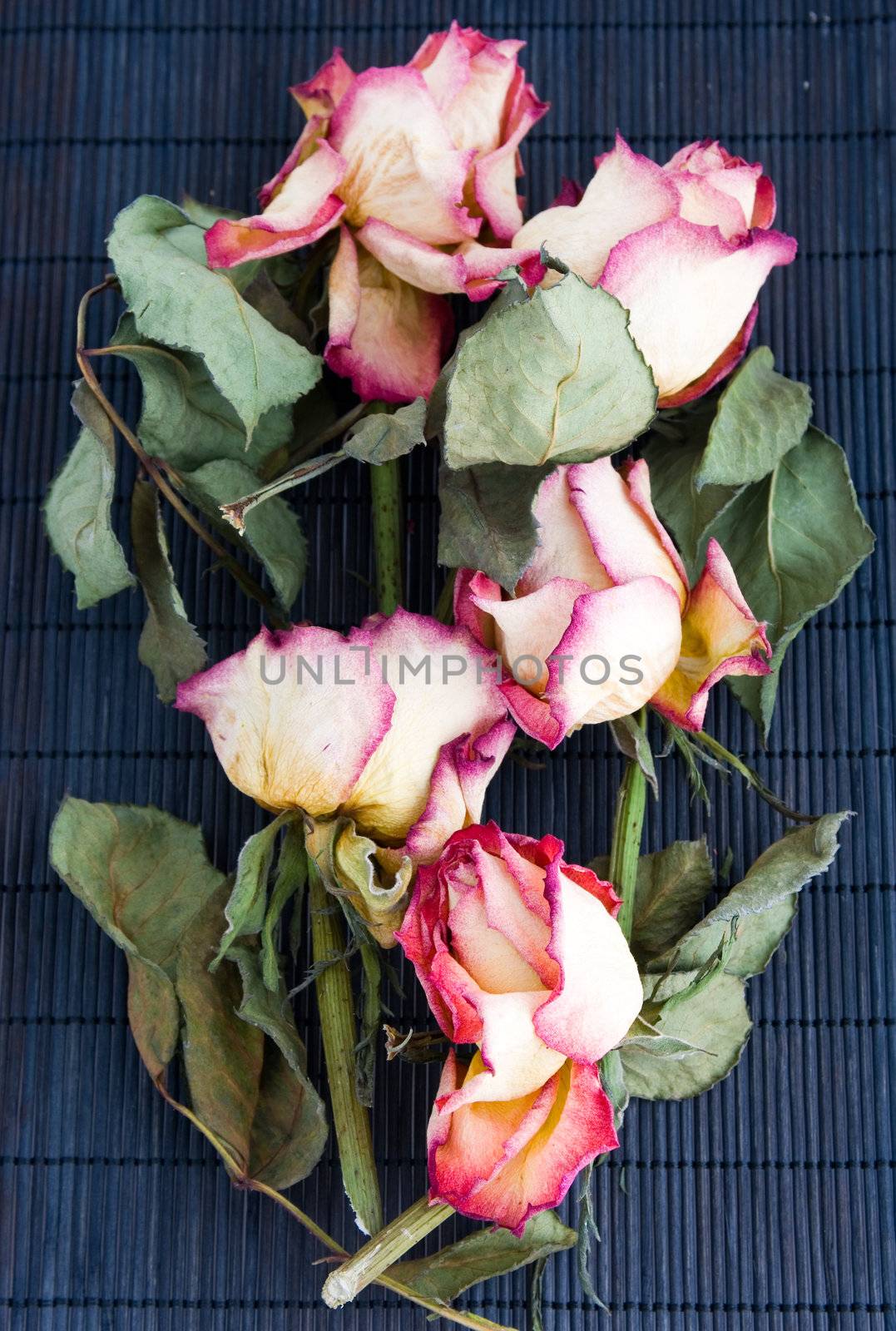 Several old roses on a bamboo mat