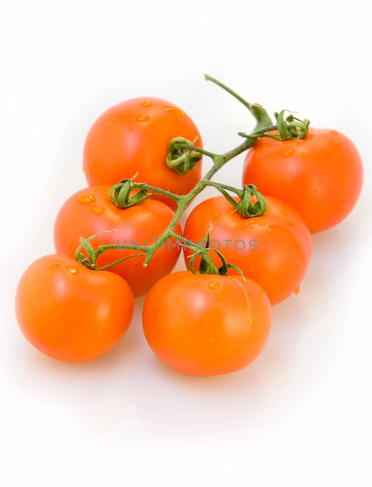 Fresh red juicy tomatoes ith water drops