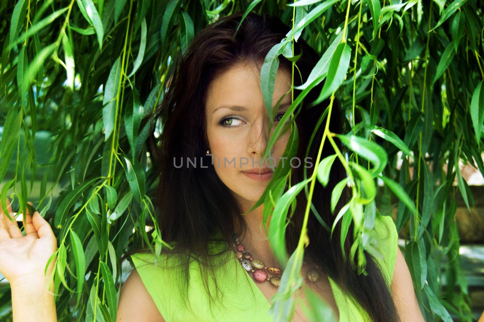 Looking through willow tree by Angel_a