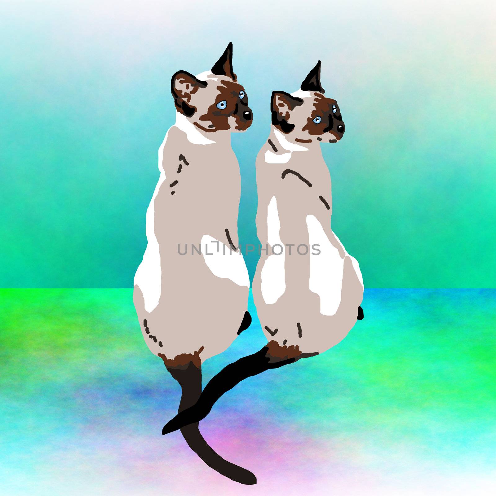 Two Siamese Cats by karensuki