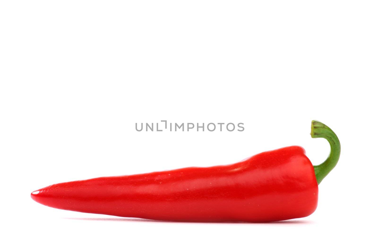 chili pepper by Yellowj