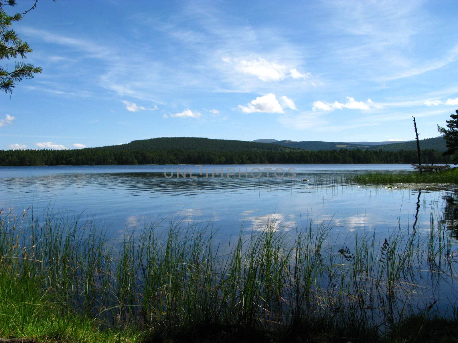 View over lake by gigra