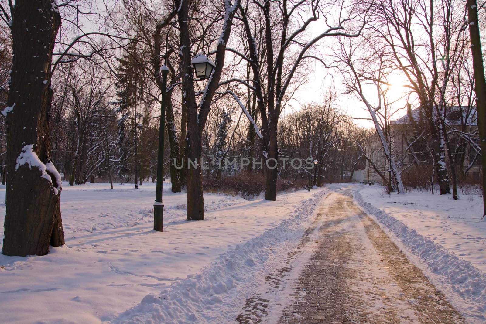 Snowy Warsaw park