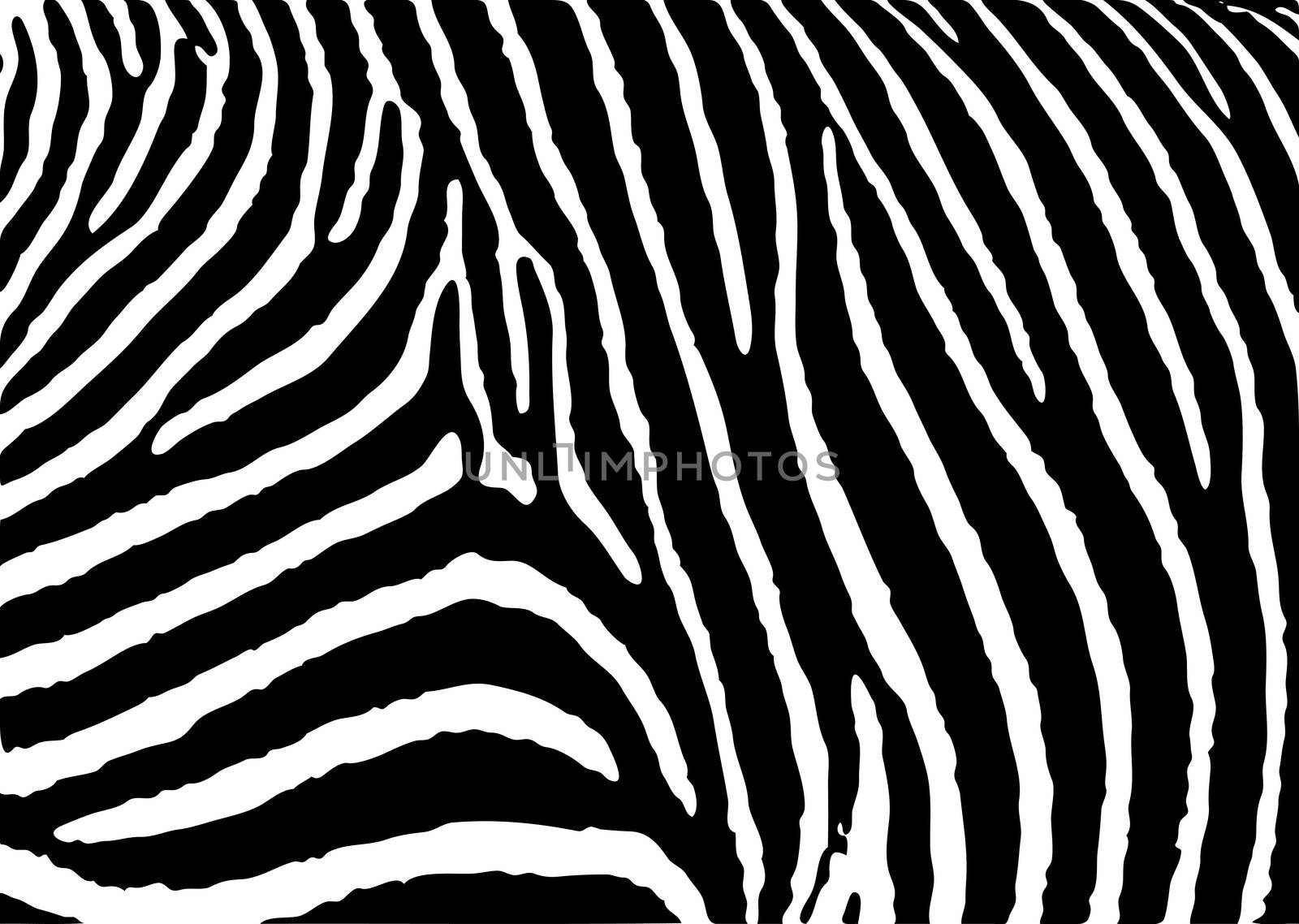 Black and white zebra pattern background with simple deisgn