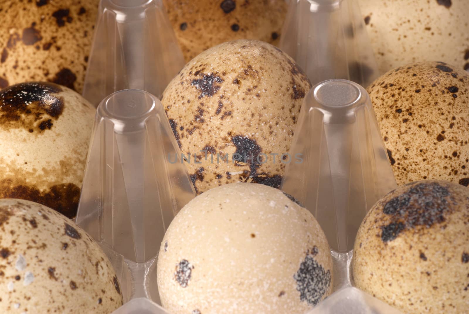 Closeup of colorful dotted quail eggs  in their box