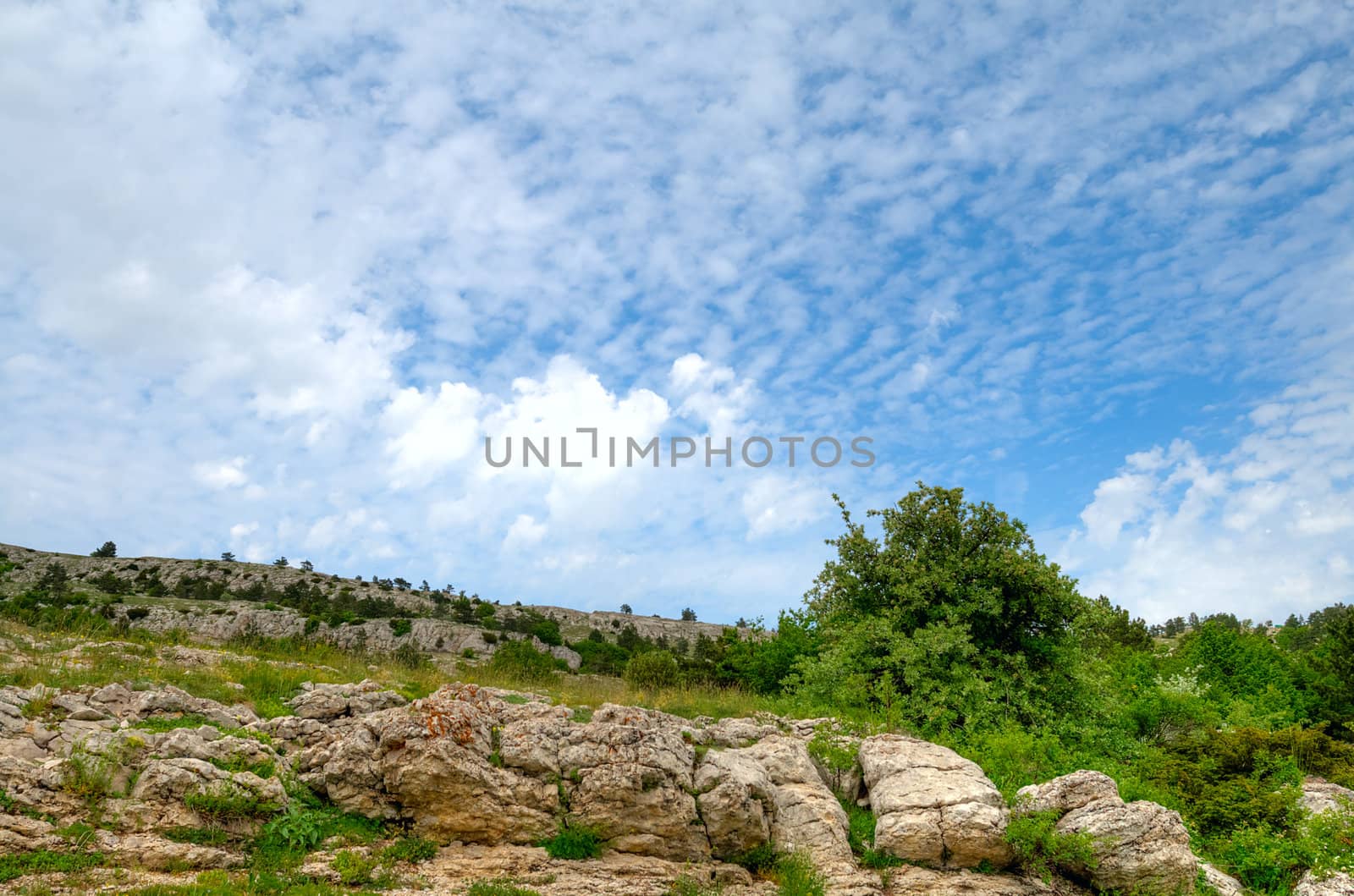 scenic mountains landscape by Alekcey