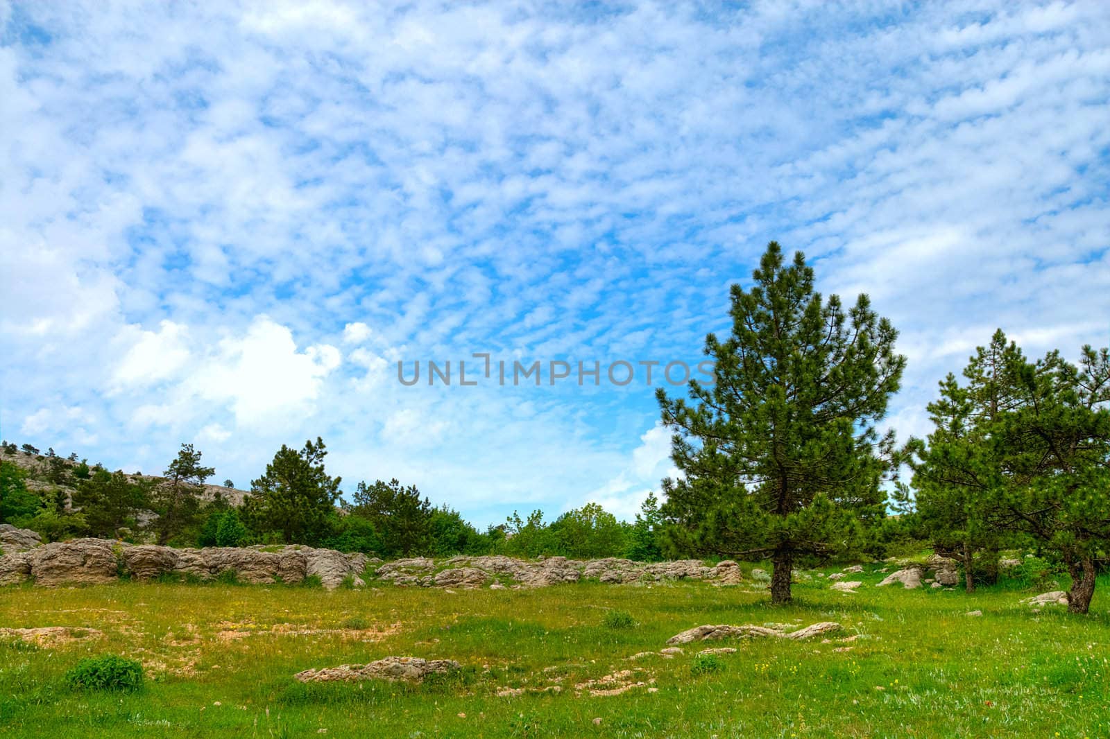 beautiful mountains landscape in summer