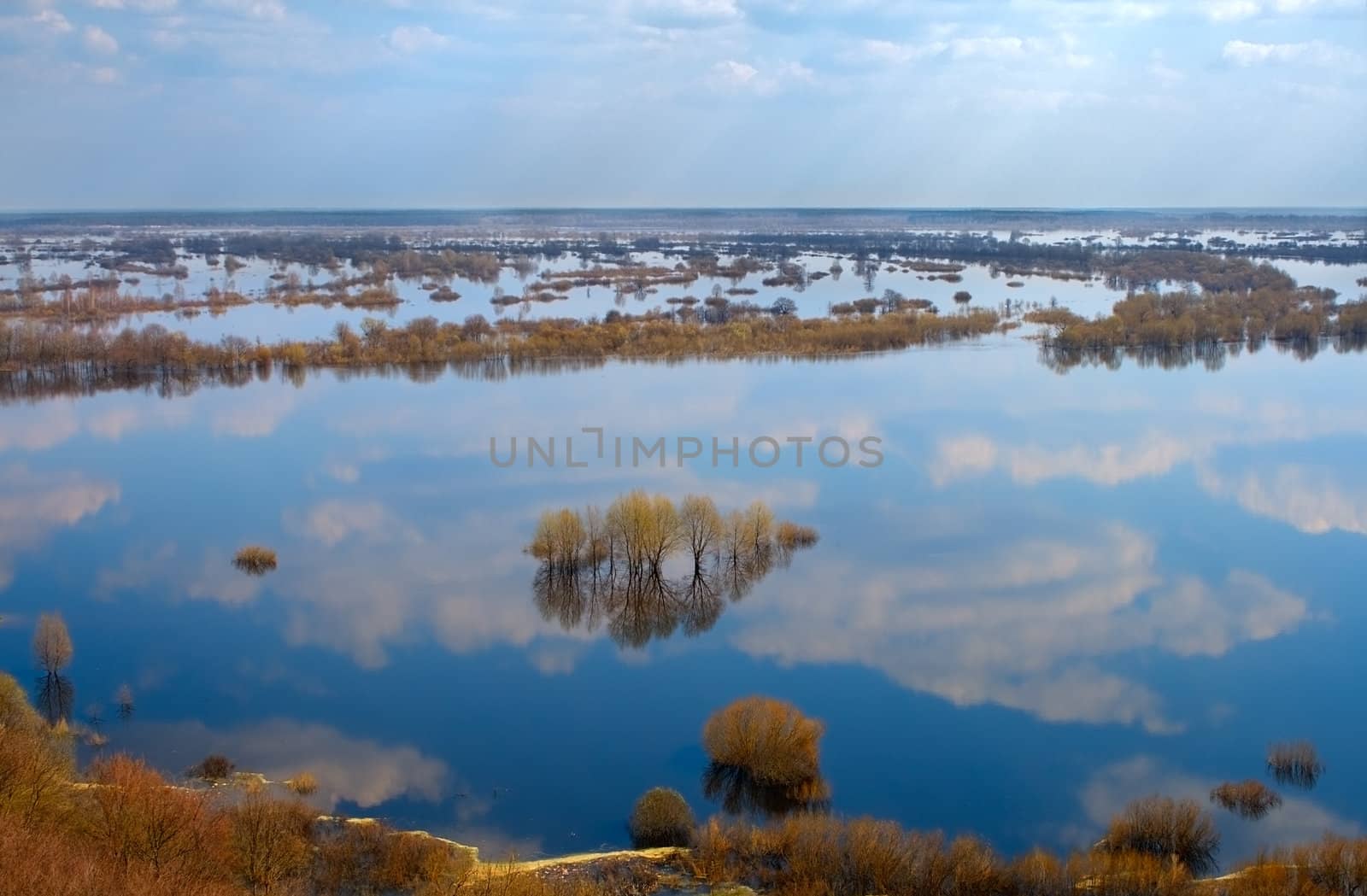 trees in water-meadow view from above by Alekcey