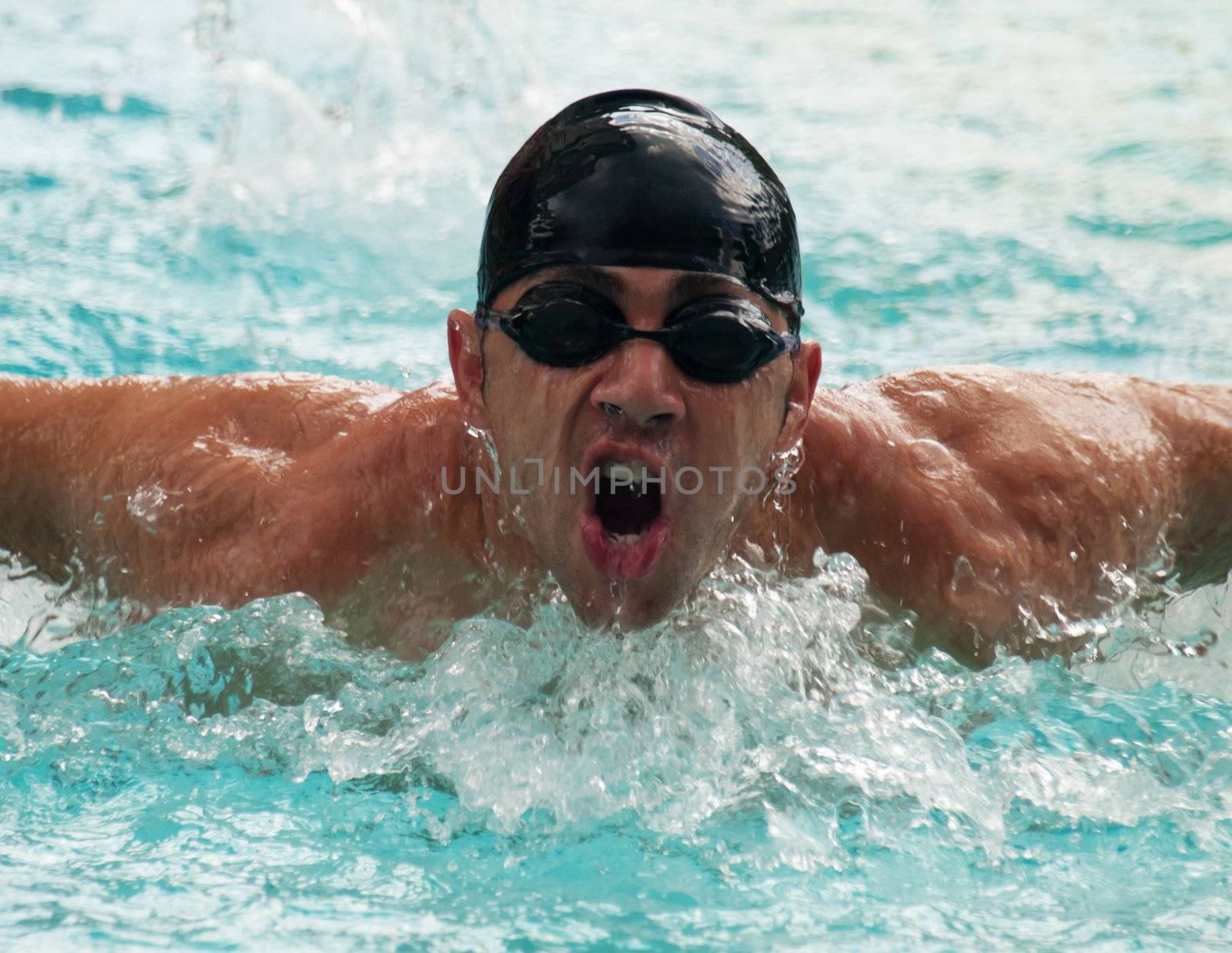 Young male athlete swimming butterfly style in swimming pool