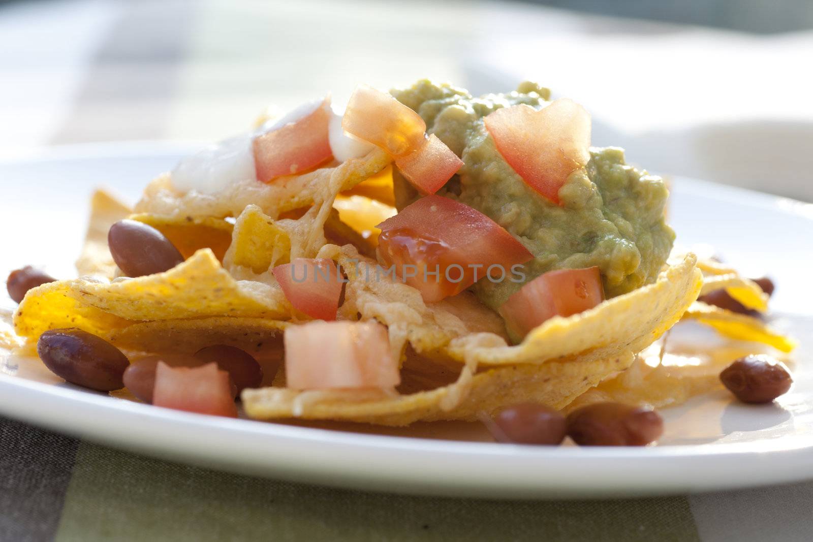 Fresh nacho chips with beans, tomatoes, cheese and guacamole