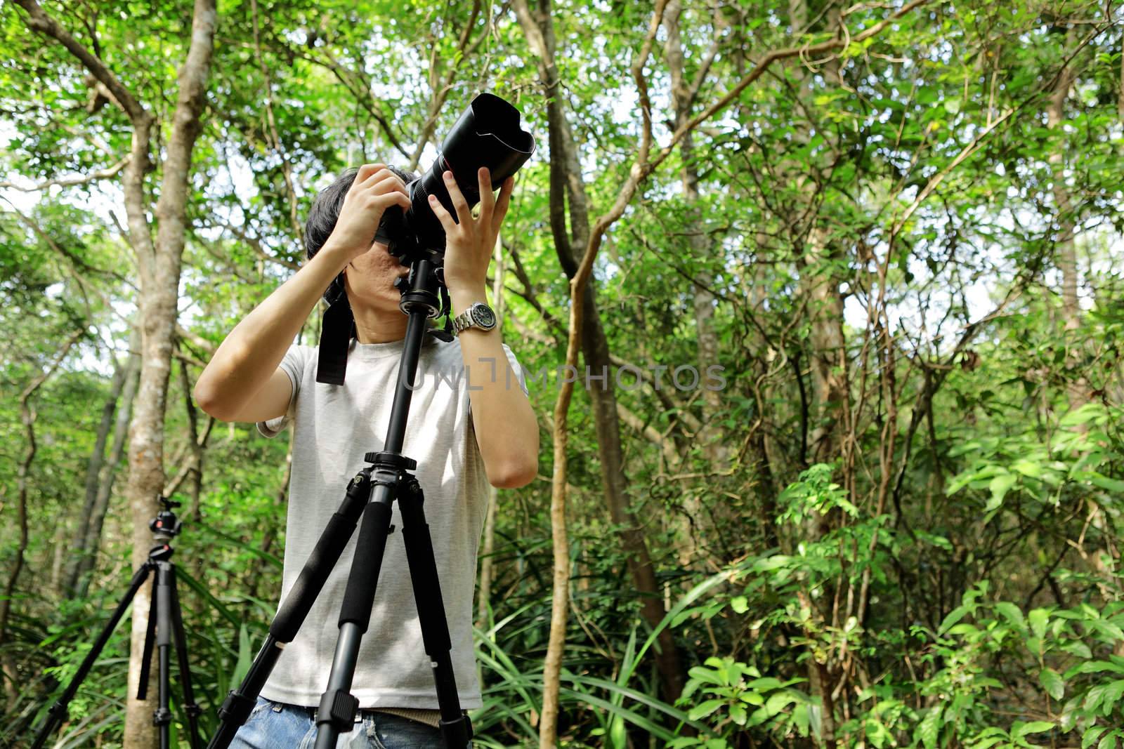 Photographer in forest