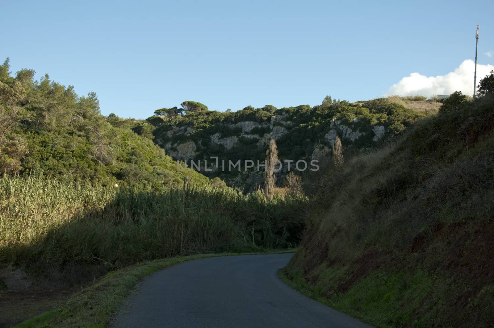 Portugal mountain with a beautiful forest overgrown with caves