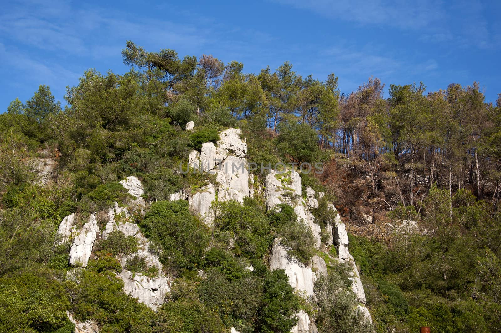 Portugal mountain with a beautiful forest overgrown with caves