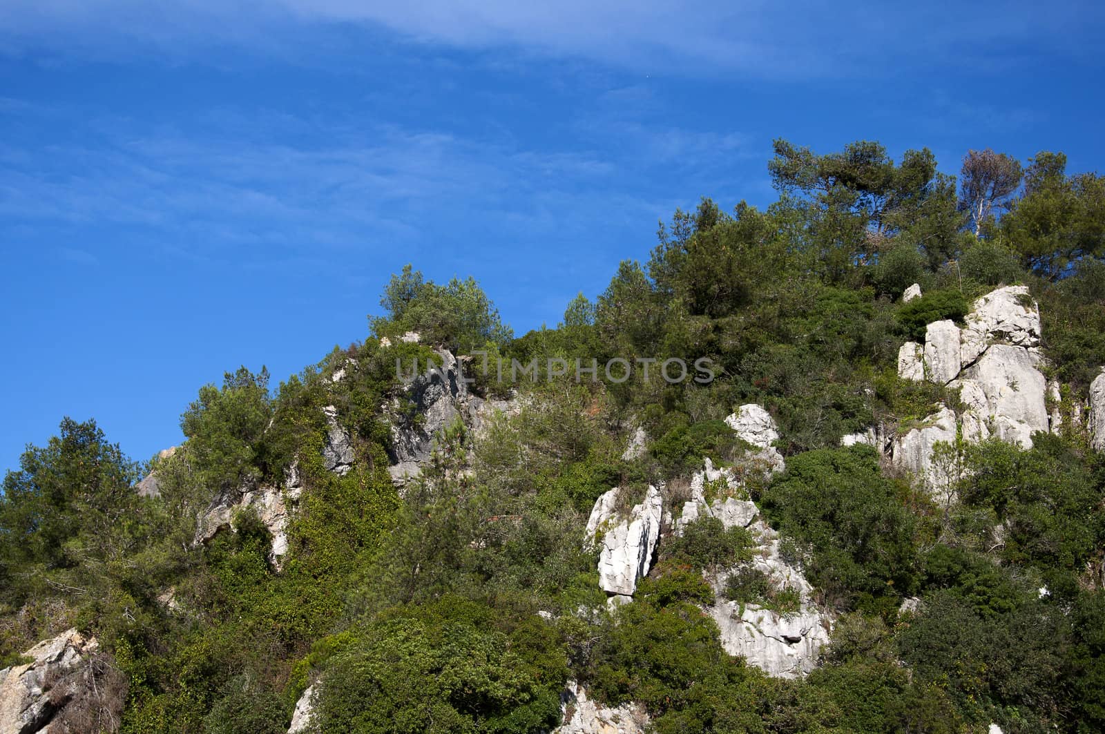 landscape, Portugal mountain with a beautiful forest overgrown with caves