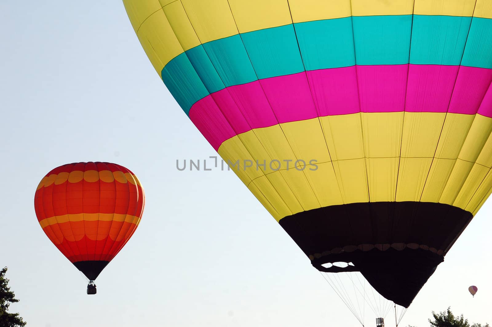Picture of colorful hot air balloons on a summer day